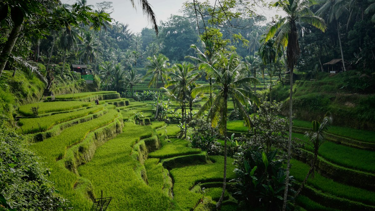 Mobildata i Indonesien og Bali: eSIM, SIM eller roaming?
