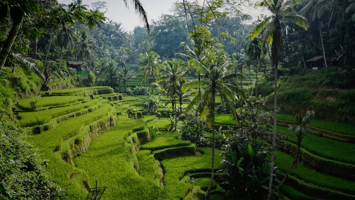 ¿Cuántos días necesitas para viajar por Indonesia?